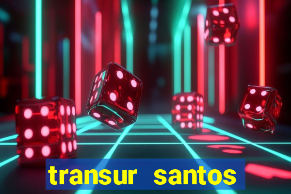 transur santos dumont x juiz de fora 2024